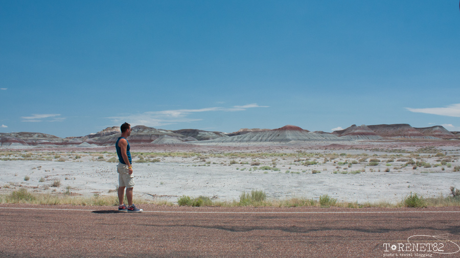deserto dipinto national park arizona route66