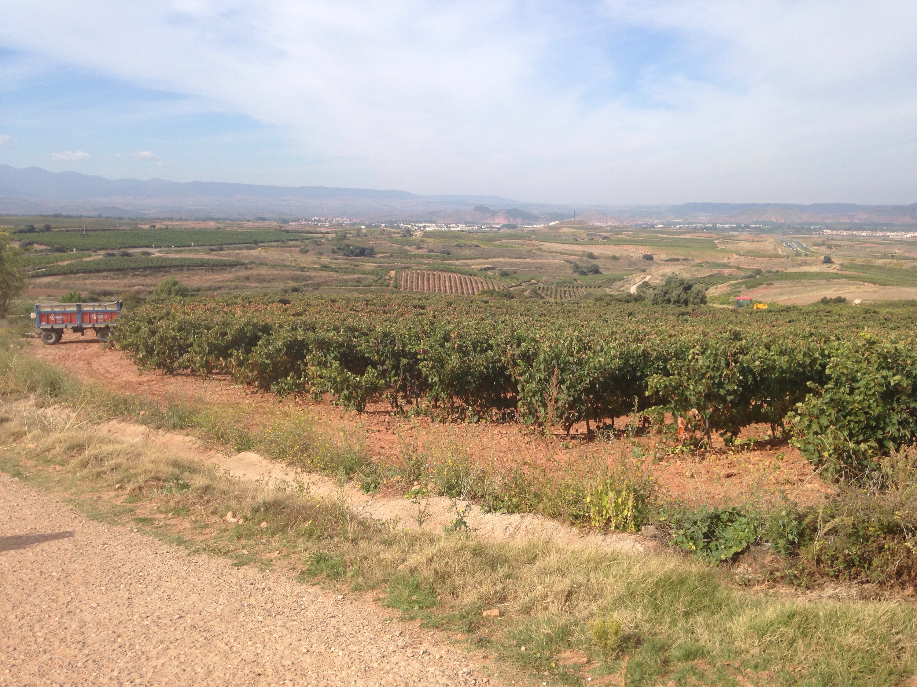 logrono cammino santiago