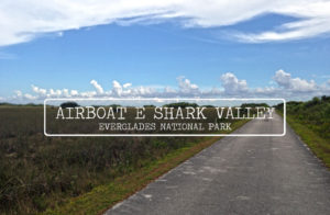 shark valley everglades